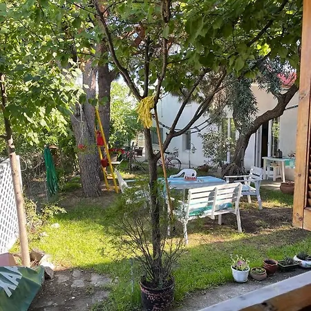 Evak PalaiónTsiflíkion